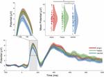 Neural and behavioural predictors of anxiety in young children