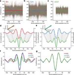 Development of sensorimotor beta bursts in human infants