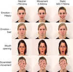 Perception of facial cues in early development