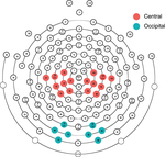 Mu desynchronization during observation and execution of facial expressions in 30-month-old children