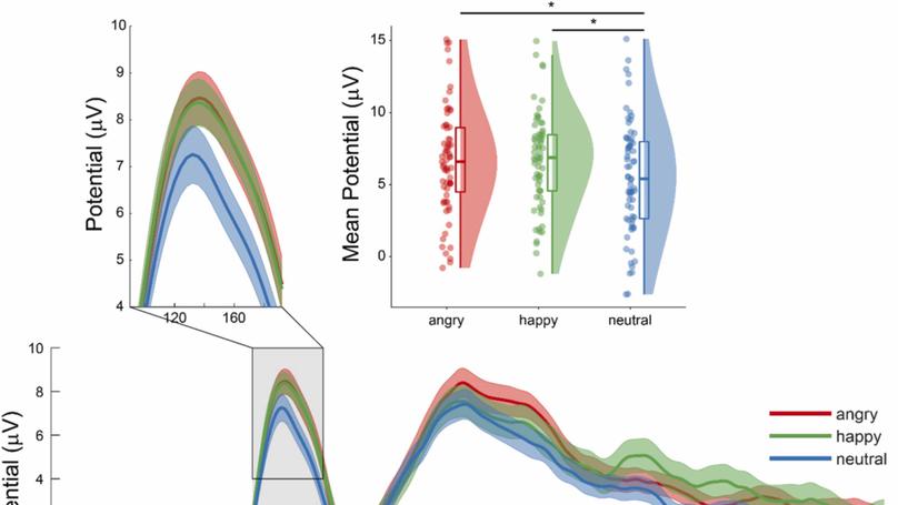 Behavioural inhibition and early neural processing of happy and angry faces interact to predict anxiety: a longitudinal ERP study