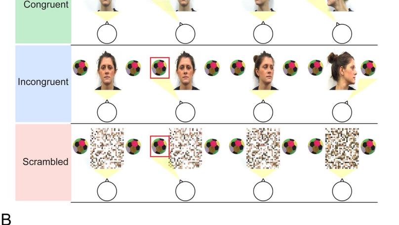 Building blocks of joint attention: Early sensitivity to having one’s own gaze followed