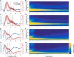 Detection and analysis of cortical beta bursts in developmental EEG data