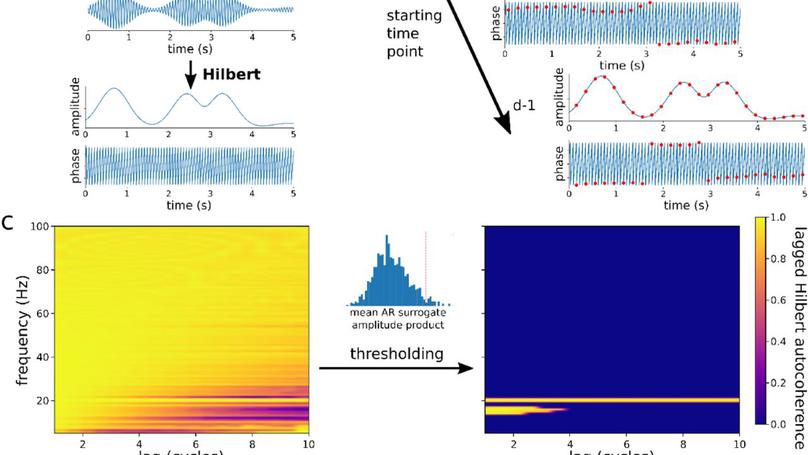 Multi-scale parameterization of neural rhythmicity with lagged Hilbert autocoherence