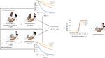 Longitudinal effects of early psychosocial deprivation on macaque executive function: Evidence from computational modelling